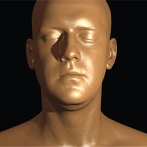 three.js webgl - 材质 - 凹凸贴图 [Lee Perry-Smith]