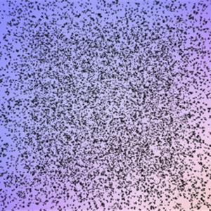 three.js WebGPU - 计算鸟群模拟